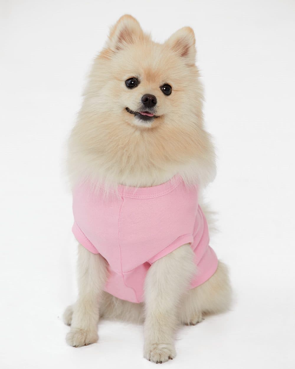 Doggie Tank