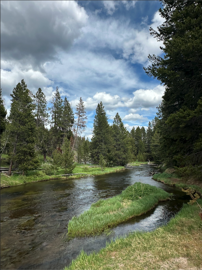Hayden Valley Meadow at Yellowstone National Park